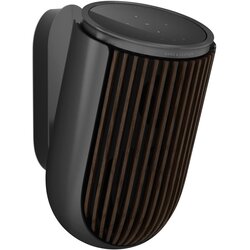 B&O Bang & Olufsen Beolab 8 Antracit B B Antracit Cene
