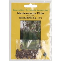 TROPICA mehiški bor Cene