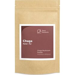 Terra Elements chaga v prahu bio Cene