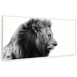 Klarstein Wonderwall Air Art Smart, infracrveni grijač, lav, 60 x 120 cm, 700 W Cijene