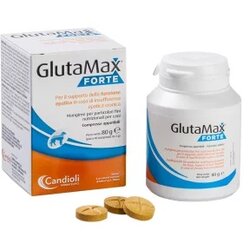 Candioli glutamax forte za pse 10 tableta Cene
