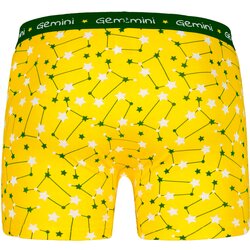 Frogies Men's boxers Zodiac Blizanci 2P Gift box Cijene