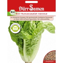 Dürr Samen BIO-solata Romana Xaroma Cene