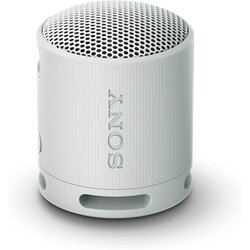 Sony bt zvučnik XB100svijetlosiva Cijene