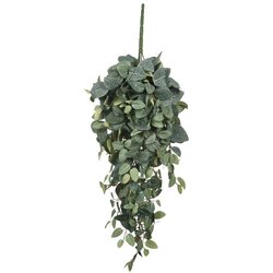  Cvet PILEA 70cm 953440 - Green - EDL Cene