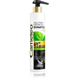 Delia Cosmetics Cameleo BB keratinski šampon za poškodovane lase 250 ml Cene