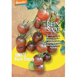 ReinSaat Koktajl paradižnik "Black Cherry" Cene