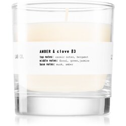 Ambientair Lab Co. Amber & Clove dišeča sveča 200 g Cene