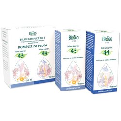 Bioteo biljni komplet br. 6 za pluća - 2x50ml Cene