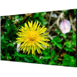 Hikvision LCD video wall DS-D2055LE-G - - Panteh Cene