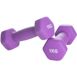 ITALIAN DESIGN NEO DUMBBELL (1 PAR), (21550145) Cene