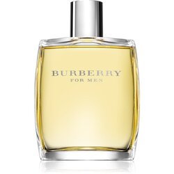 Burberry for Men toaletna voda za moške 100 ml Cene