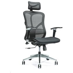 BEMONDI Ergonomic office chair ERGO 500 black Cene