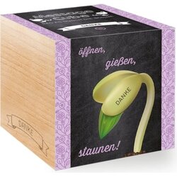 Feel Green Message Cube "Danke" Cene