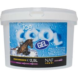 Ice Cool Gel - 2,50 l Cene