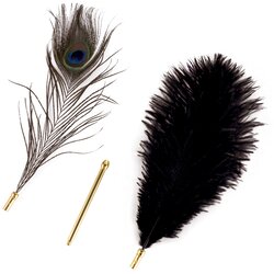 Sevanda Natural Peacock Flirting Feather Tickler Cene