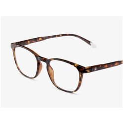Barner Dalston/Glossy Tortoise Zaštitne naocare ( DGT ) Cene