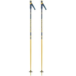 Rossignol Ski štapovi Stove Hero Grip Teal/Mustard - 125cm Cene