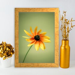 Wallity Uokvirena slika AC346430351, 24x29 cm Cijene