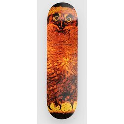 Jacuzzi Unlimited Michael Pulizzi Hoo 8.375" Skateboard deska brown Cene