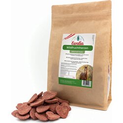 Ewalia priboljški iz divjega sadja Cene