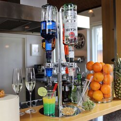  Kućni bar sa dozerima za pića, 4 flaše Cene