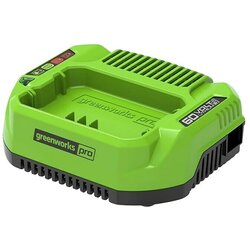 GREENWORKS Polnilec Greenworks (60 V, hitri polnilec) Cene