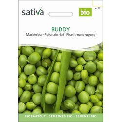 Sativa Grah Buddy Cene