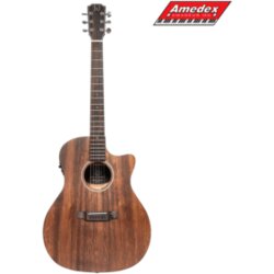  GITARA EL.-AK. James Neligan DOV-ACFI Cijene