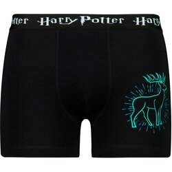Licensed Men's boxer Harry Potter - Frogies Cijene