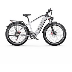 Duotts Električno kolo F26Lite, 26" debela pnevmatika, 48V 18Ah, srebrno, (5000072463) Cene