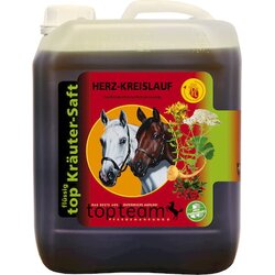 Topteam top - Zeliščni sok za kardiovaskularni sistem Cene