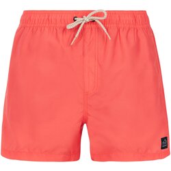  Men's beach shorts PRTSTILO Cene