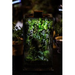 Bioloark Bio Bottle model FD - 200 Cene