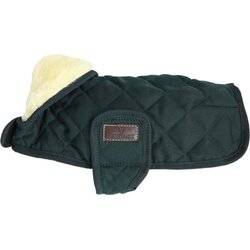 Kentucky Dogwear Temno zelen pasji plašč - XS Cene