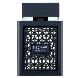 Rave Now Intense parfumirana voda za moške 100 ml Cene