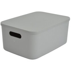 Homéa Svetlo zelena plastična škatla za shranjevanje s pokrovom 35,5x25,5x16 cm – Cene