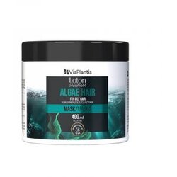  za masnu kosu Vis Plantis Algae – 400 ml (Outlet) Cijene
