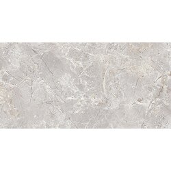 Walter light grey glossy 300x600 akl. 1,62 Cene