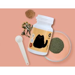 Apicat Skin u prahu, 60 g Cene