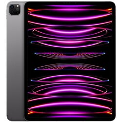 Apple tablični računalnik ipad pro 12.9'' M2 (6th gen.) wi-fi + cellular 256GB - space gray (MP203HC/A) Cene