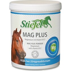 Stiefel Mag Plus prašek - 1 kg Cene