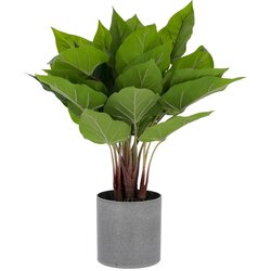 Kave Home umjetni cvijet Toulitka, visina 50 cm Cene