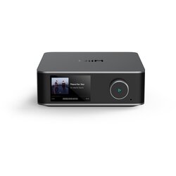 WIIM Ultra prostor siva avdio Cene