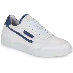 Pellet RAPHAEL Blue Cene