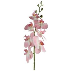  Cvet ORCHID 83cm 796074 - Pink - DCS Cene