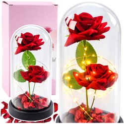 Eternal 2 Roses in Dome with LED Lighting and Rose Petals Red 21x11cm Cene