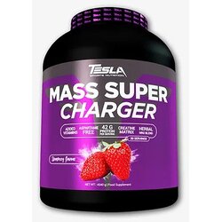 Tesla nutrition mass super charger 4.5KG jagoda Cene