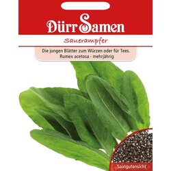 Dürr Samen Kislica Cene