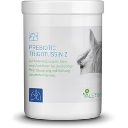 Valetumed Prebiotic Trigotussin Z - 500 g Cene